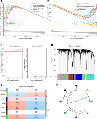 Screening seven hub genes associated with prognosis and immune infiltration in glioblastoma